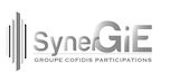 Synergie-1